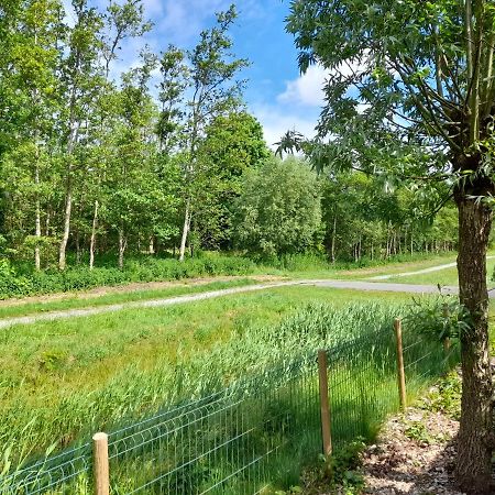 Wellnesshuis Met Hottub, Ligbad En Grote Tuin Villa Tzummarum Exterior foto
